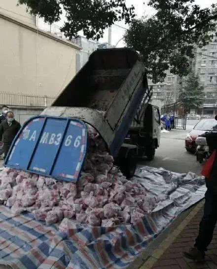 武汉环卫车爆料视频最新,街头惊人一幕引发热议